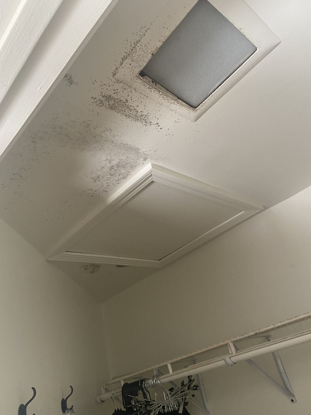 Mold growth around an attic access hatch in a closet ceiling