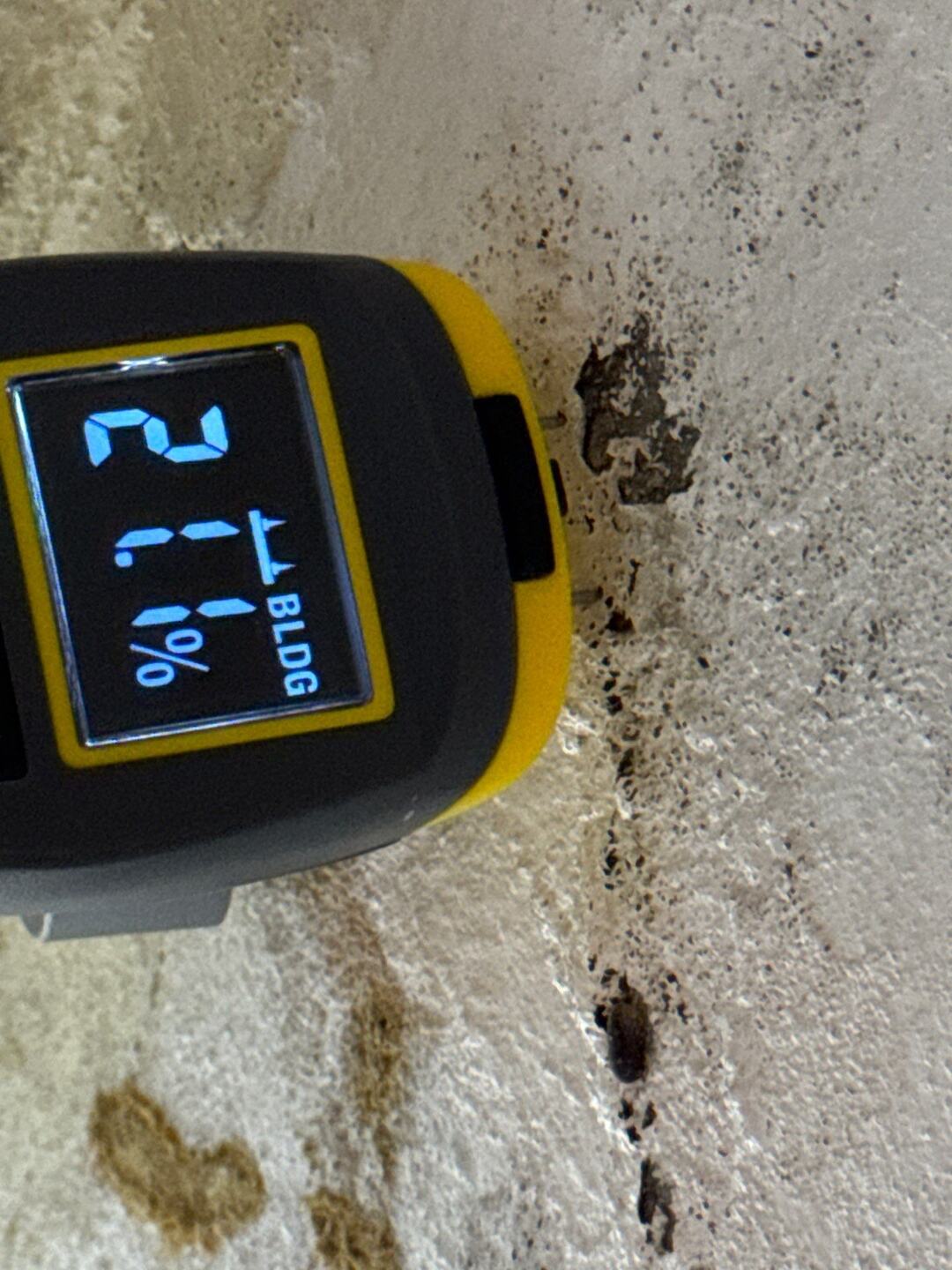 A moisture meter held against a stained wall showing a reading on its display