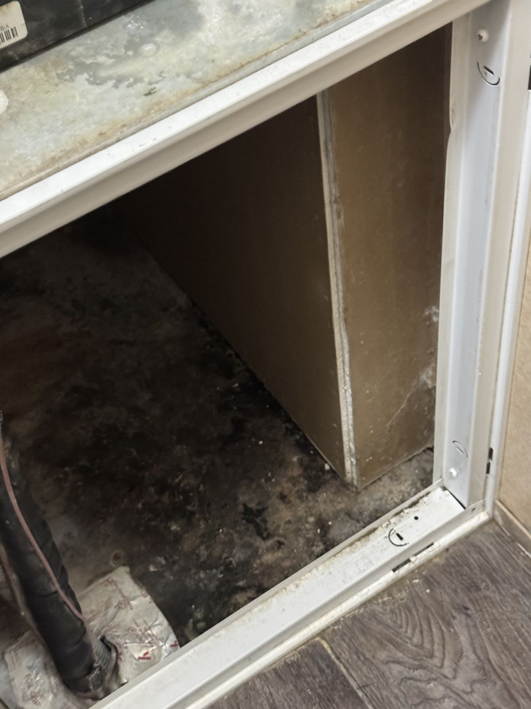 Growth on the AC closet platform under the air handler