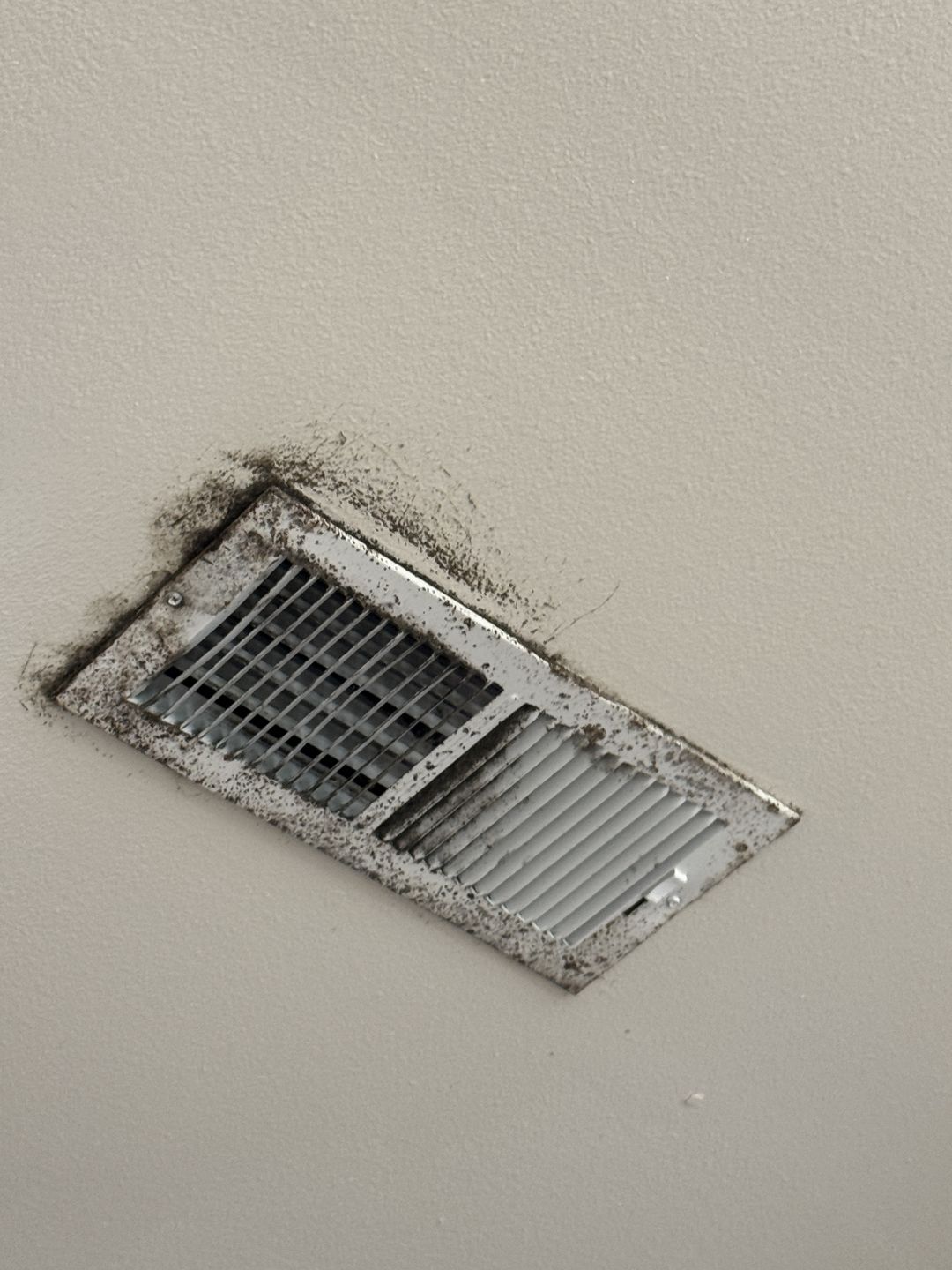 Growth around the edges of a ceiling air vent