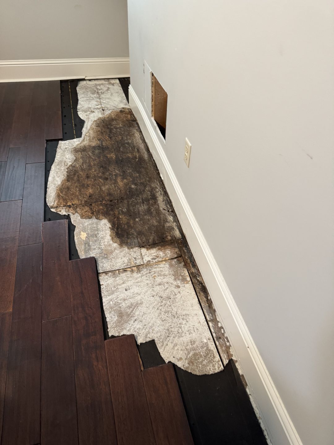 Staining on the subfloor under removed flooring
