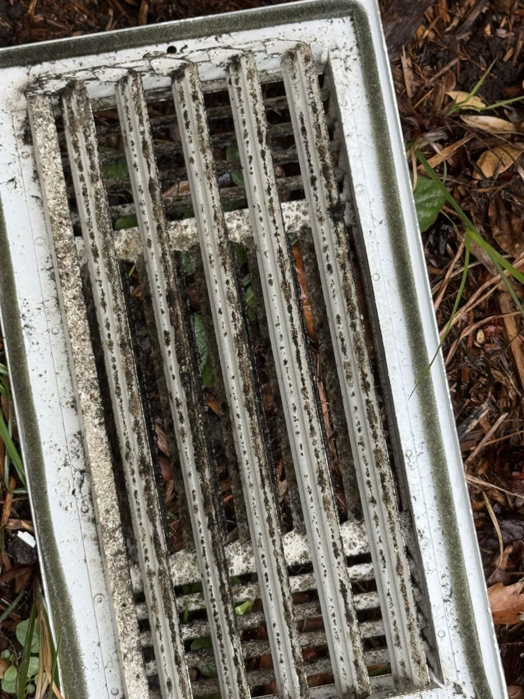 Heavy growth between the slats of a removed vent cover