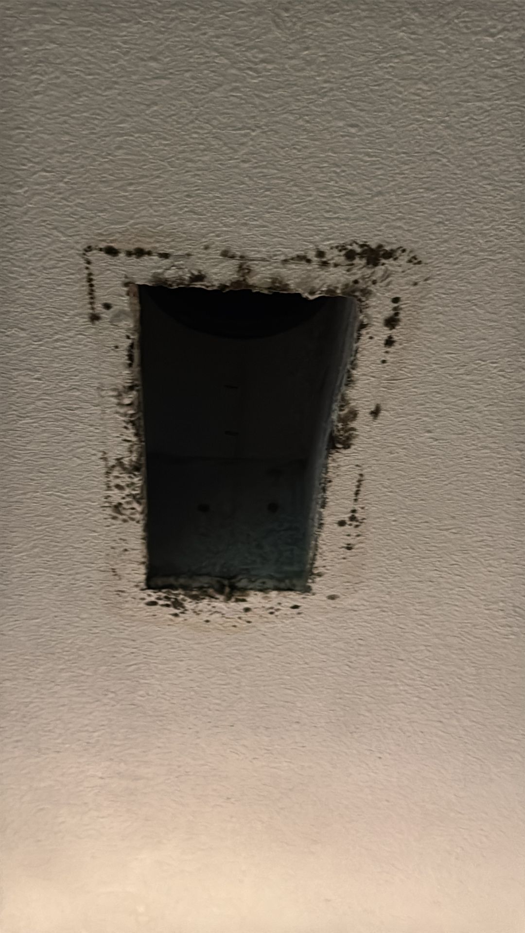 Growth ringing a ceiling vent opening after the cover was removed