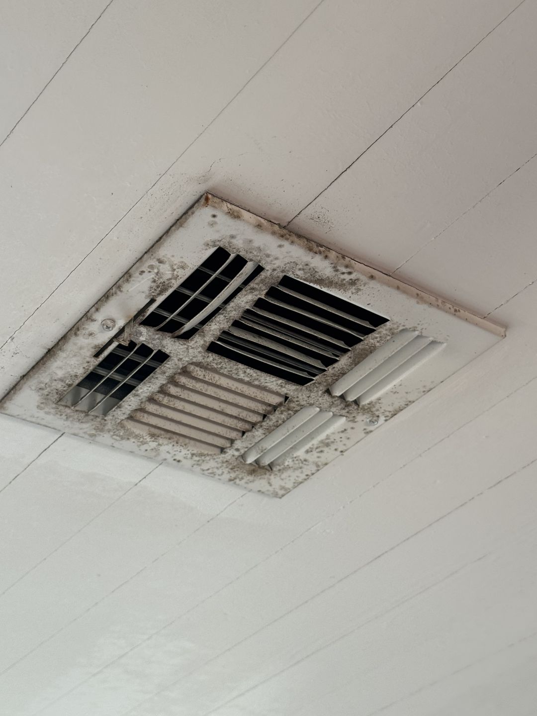 Growth ringing a ceiling vent on a plank ceiling