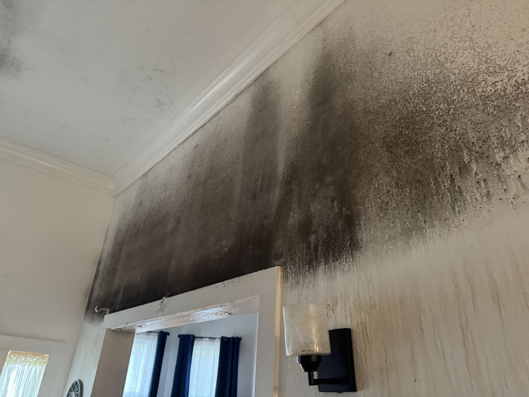 Black growth streaking down a wall above a doorway